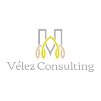 Vélez Consulting logo - Similar company to Velez Consulting Services