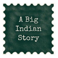 A Big Indian Story logo - Similar company to Crunnk.Com