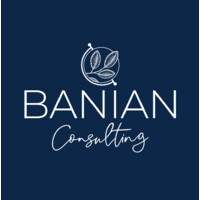 Banian Consulting logo - Similar company to Ppg Reunion