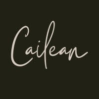 Cailean logo - Similar company to The Mcknight Financial Group (Tmfg)
