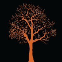 Maclura Investments logo - Similar company to Great Plains Trust Company