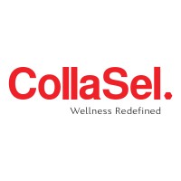 Sel Sanayi A.Ş. - CollaSel logo - Similar company to Valemis