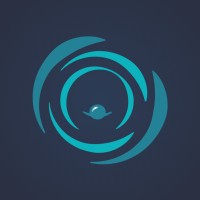 RadioLance logo - Similar company to Sk-Telemed Gmbh
