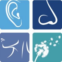 ENT and Allergy Specialists logo - Similar company to Universal Primary Care