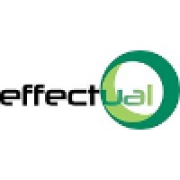 Effectual Systems Group, Inc. logo - Similar company to Rx-M, Llc