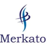 Merkato logo - Similar company to Real Energia