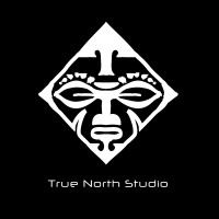 True North Studio logo - Similar company to Ketch
