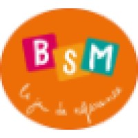 BSM - Le jeu de référence logo - Similar company to Share & Welcom'