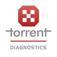 Torrent Diagnostics logo - Similar company to Lupin Diagnostics Limited