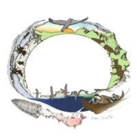 Tanana Chiefs Conference logo - Similar company to Proper Connections Llc