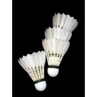 VV sports Badminton Academy logo - Similar company to Good To Great Sports Academy