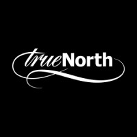 True North logo - Similar company to Studio North