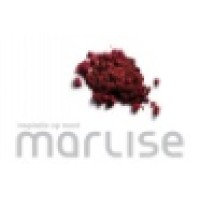 Marlise Paint International B.V. logo - Similar company to Kadodesign Bv