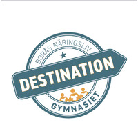 Destination gymnasiet AB (svb)