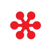 Soitron Türkiye logo - Similar company to Netsmart