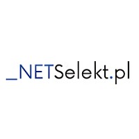 NETSelekt logo - Similar company to Pdaserwis