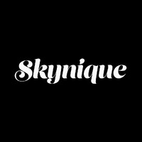 Skynique logo - Similar company to Agile Data Guides