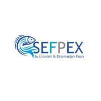 sefpex logo - Similar company to Group Karaca