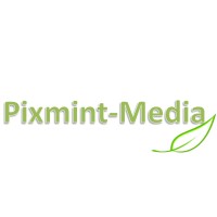 Pixmint Media logo - Similar company to Iturn