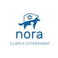 Clinica Veterinaria Nora logo - Similar company to Studio Tecnico Geom. Jaime Vecellio