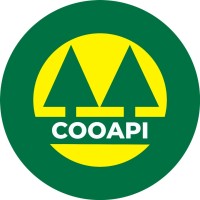 COOAPI logo - Similar company to Plandinside