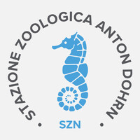 Stazione Zoologica Anton Dohrn logo - Similar company to Koastal