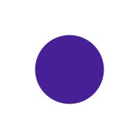 NeoOptima logo - Similar company to Otd Florida