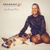 Dogheart Coaching®️ logo - Similar company to 𝗕𝗢𝗡𝗡𝗘𝗥𝖢𝖮𝖭𝖲𝖴𝖫𝖳