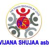 VIJANA SHUJAA ASBL logo - Similar company to Kesho Congo
