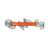 BMS Consulting logo - Similar company to Artisan Fire & Security Ltd