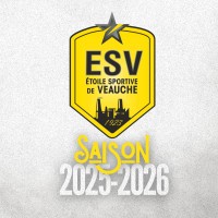 ESV - Etoile Sportive de Veauche logo - Similar company to Yo Web