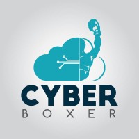 Cyber Boxer logo - Similar company to Devotica.Com