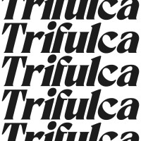 Trifulca logo - Similar company to Factoría Serendipia