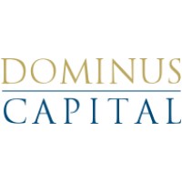 Dominus Capital logo - Similar company to Dominus Capital