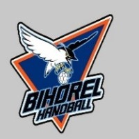 GCO Bihorel Plateau Nord Handball logo - Similar company to Bihorel Ma Ville