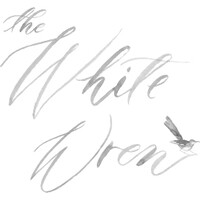 The White Wren