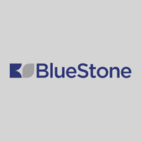 Gruppo Bluestone logo - Similar company to Come Nuova