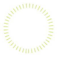 Bloom See Beyond logo - Similar company to Líder Com Alma