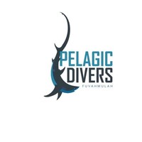 Pelagic Divers Fuvahmulah logo - Similar company to Sharklife Conservation Group