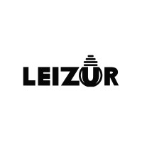Leizur Ltd logo - Similar company to Dynamics Design And Project Management Llc