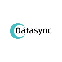 Datasync logo - Similar company to Datasync Inc.