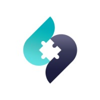 Puzzle Software logo - Similar company to Datavid