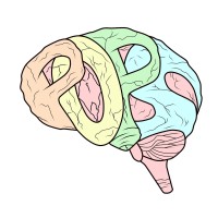 POPS- Psykologistudenter om psyke og sex logo - Similar company to Bedriftsportalen For Psykologi