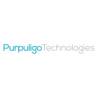 Purpuligo Technologies Private Limited logo - Similar company to Soinit Technology Solutions Pvt. Ltd.