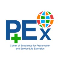 P+Ex Center of Excellence logo - Similar company to Vass Solutions