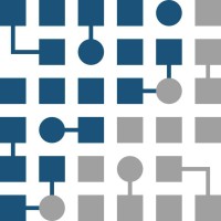SiT - Shumen Institute of Technology logo - Similar company to Raster Ltd
