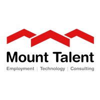 Mount Talent Consulting Pvt Ltd. logo - Similar company to Mrt Infotech