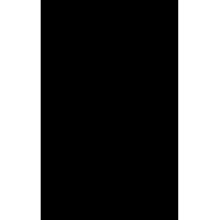 Deleted logo - Similar company to Source Technologies, Llc