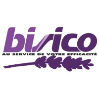Bisico logo - Similar company to Neolix