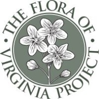 Flora of Virginia Project logo - Similar company to Virginia Master Naturalist Program